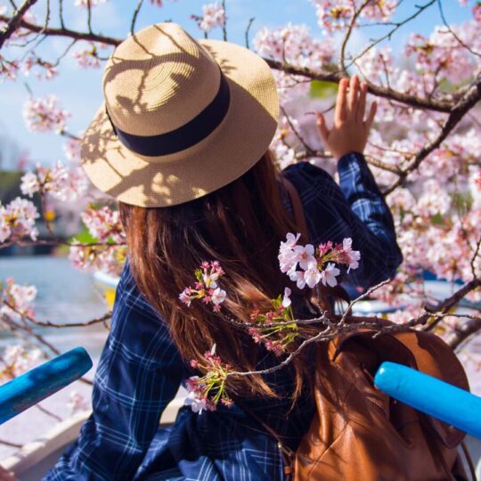 Woman in boat with cherry blossoms